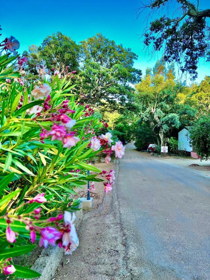 Camping Les Ilots D'Or Porto-Vecchio  Bagian luar foto