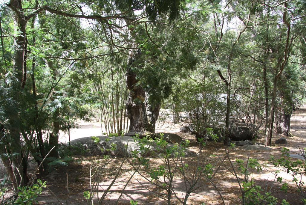 Camping Les Ilots D'Or Porto-Vecchio  Bagian luar foto